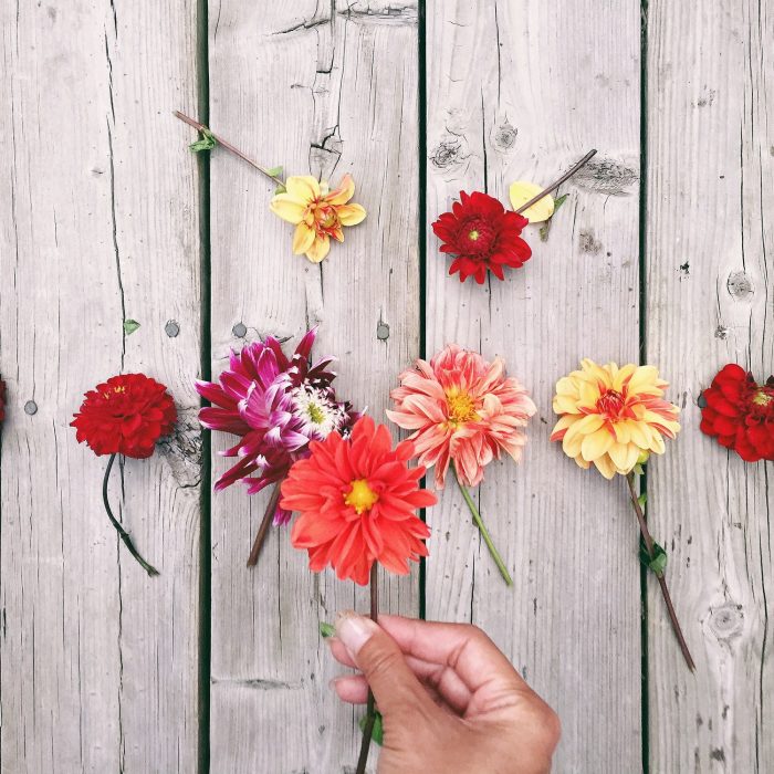 Flowers